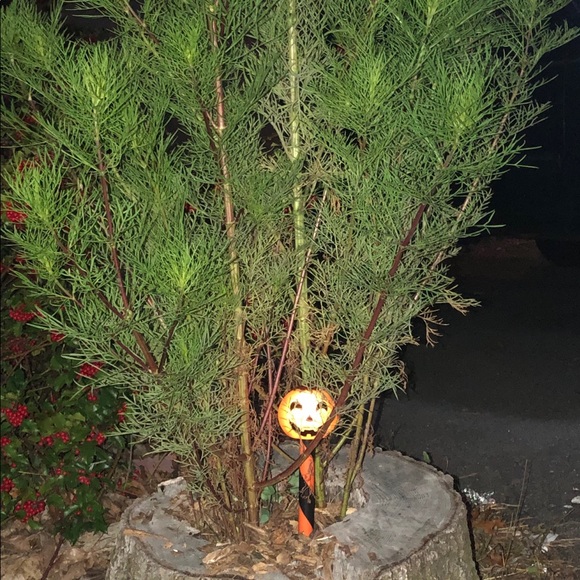 ☯️Welcome♊️I’m Angela=ALWAYS keepn it REAL&HONEST! - Picture 15 of 16